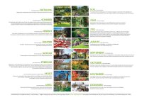 Kalender: "Vaihinger Gartenschätze 2021"