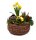 Frühlingskorb rund flach, mit farbenfroher Frühlingsbepflanzung Größe S, ca. 22cm im Durchmesser