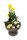 bepflanzter Metall-Pokal, rund, mit farbenfroher Frühlingsbepflanzung S ca. 20cm im Durchmesser