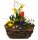 Frühlingskorb "Birkenrinde" oval, mit farbenfroher Frühlingsbepflanzung Größe M, ca. 33 x 21cm