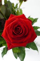 Langstielige rote Rosen, mit grün aufgebunden Größe XL