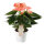 Flamingoblume, (Anthurium), Sorte: Spirit im 12cm Topf