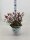 Spirea, (Spiraea japonica), Sorte: Double Play Doozie, im 19cm Topf, ca. 35cm hoch