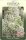 Flieder, (Syringa vulgaris), Sorte: Souvenir dAlice Harding, im 23cm Topf, ca. 75cm hoch