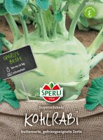 Sperli Samen, Kohlrabi, (Brassica oleracea), Sorte; Superschmelz