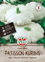 Patisson-Kürbis Custard White