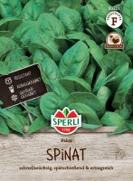 Sperli Samen, Spinat, (Spinacia oleracea), Sorte: Palco