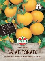Sperli Samen, Salat-Tomate (Solanum lycopersicum), Sorte: Goldene Königin