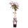 Clematis, (Clematis montana). Sorte: Fragrant Spring, ca. 65cm hoch, im 14cm Topf
